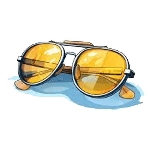 Sunglasses