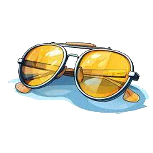 Sunglasses